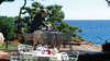 Is Morus Relais 